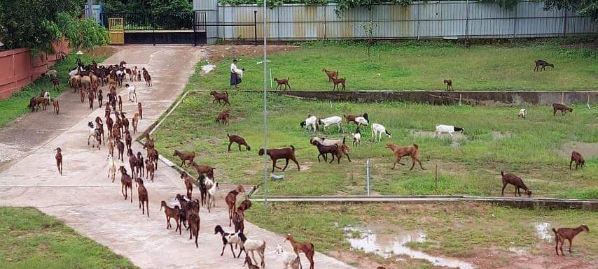 IMG-99cdcd1ff1d919ceaa1d01755bd9508d-V