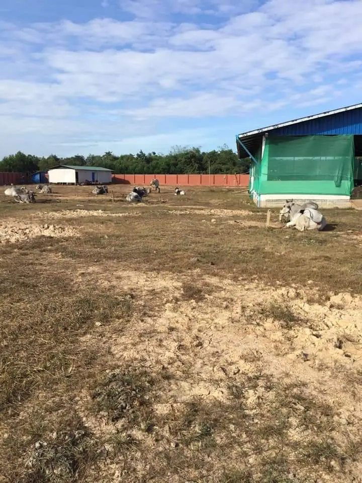 IMG-9fe5c866be4d0822382f121ae89f310b-V