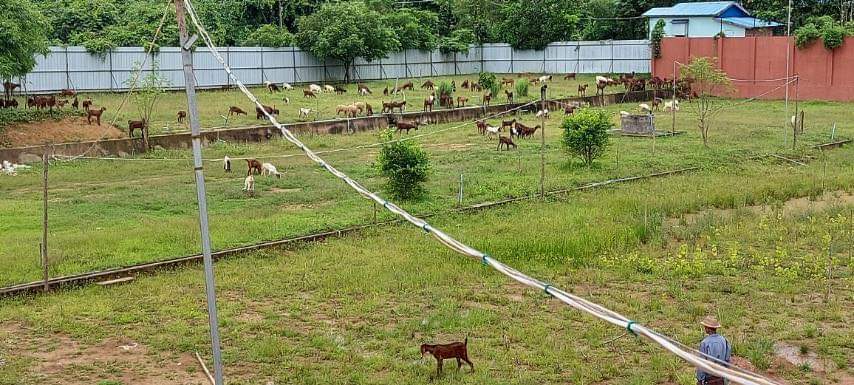 IMG-b5196ce4b5623c3fa06dc71811a9dae1-V