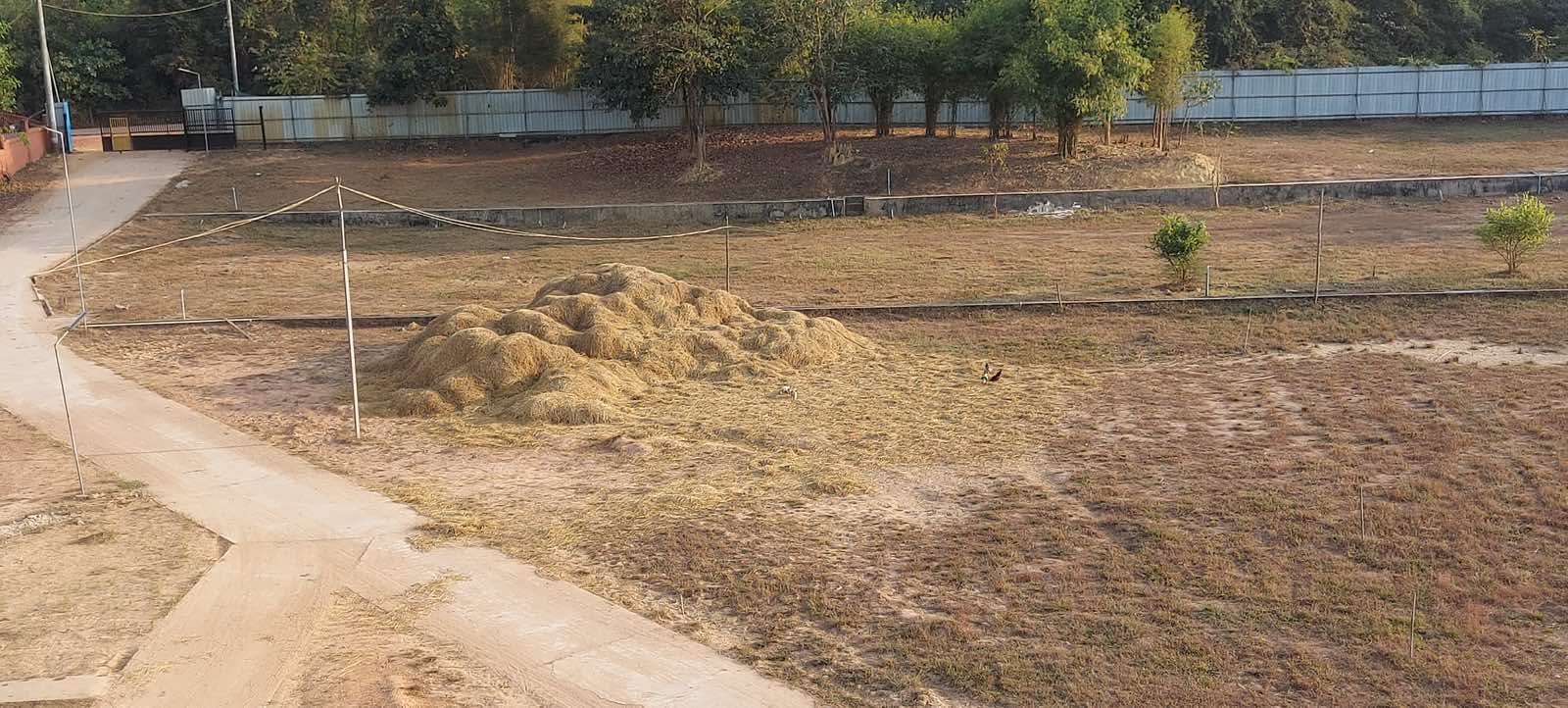 IMG-b6ed6806127e117f42d02160f4e37eeb-V