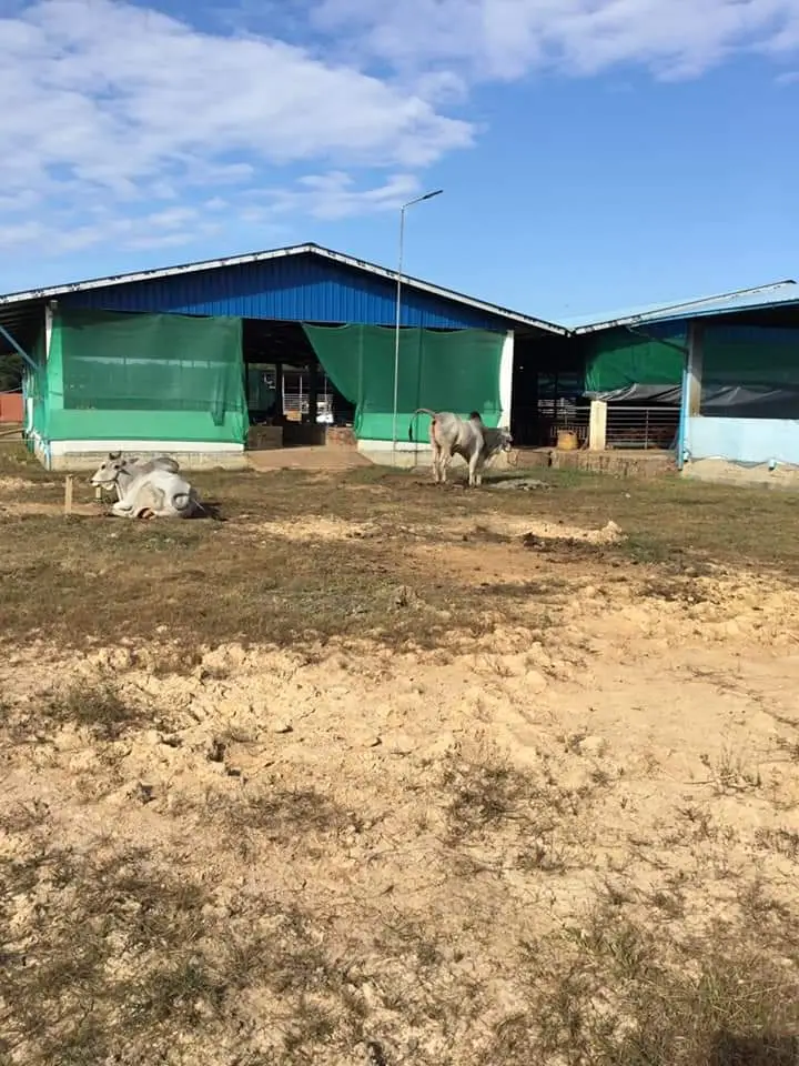 IMG-c8ec73dd5412060a2e5fd389076f1b58-V