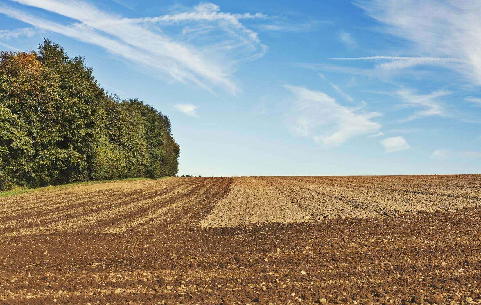 Agriculture - Farm Land